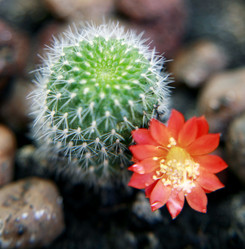 Similar image 211737