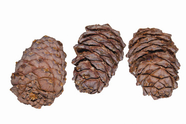 Similar image 211768