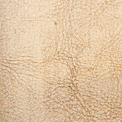 Similar image 211770