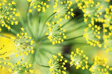 Similar image 211777