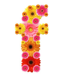 Similar image 211870