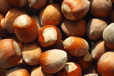 Similar image 211871