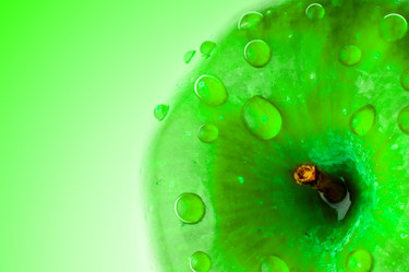 Similar image 211892