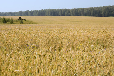 Similar image 211896