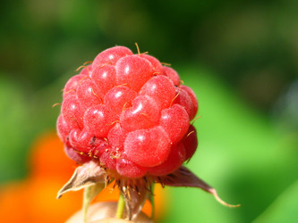 Similar image 211929