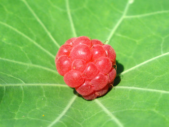 Similar image 211932