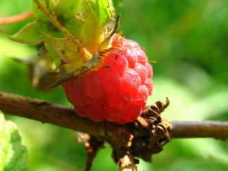 Similar image 211938