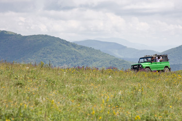 Similar image 211950