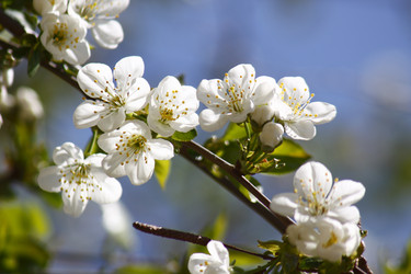 Similar image 211995