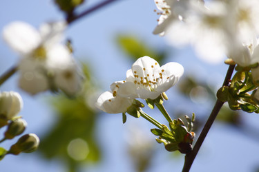 Similar image 211996