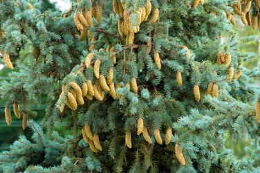 Similar image 212001