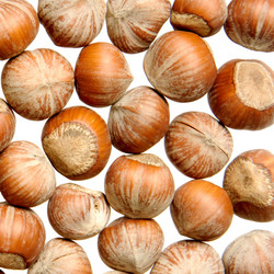 Similar image 212005