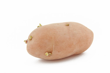 Similar image 212088