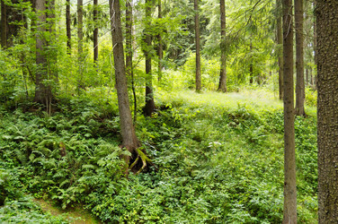 Similar image 212134