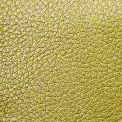 Similar image 212178