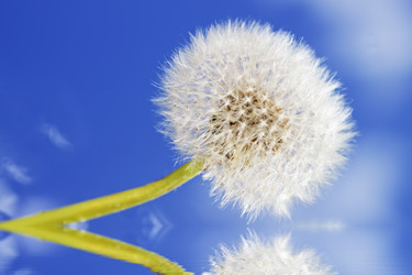 Similar image 212202