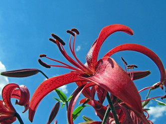 Similar image 212230