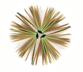 Similar image 212240