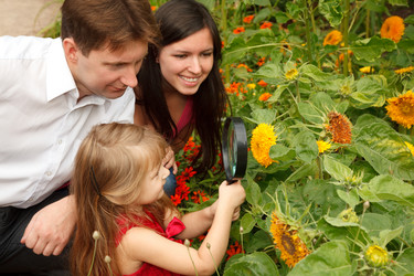 Similar image 212290