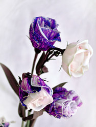 Similar image 212361