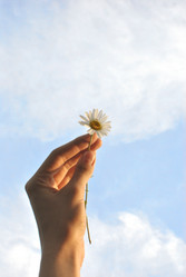 Similar image 212366