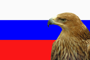 Similar image 212380