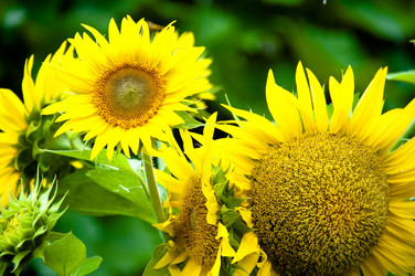 Similar image 212402