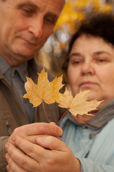 Similar image 212410