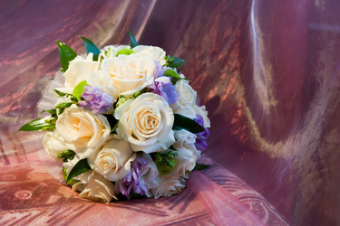 Similar image 212558