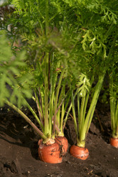 Similar image 212594