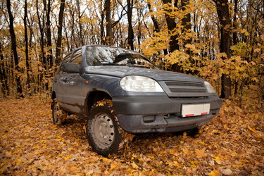 Similar image 212636