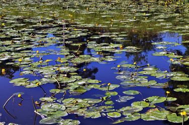 Similar image 212654