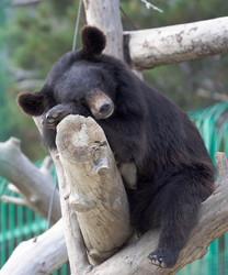 Similar image 212669