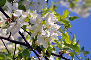 Similar image 212670