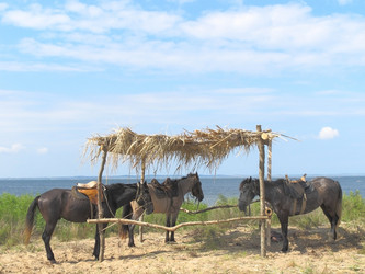 Similar image 212687