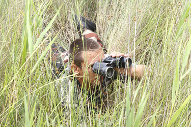 Similar image 212722