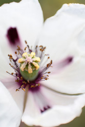 Similar image 212758