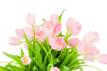 Similar image 212816