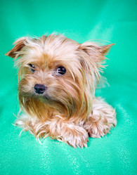 Similar image 212827