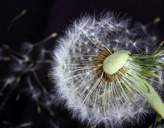 Similar image 212885