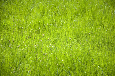 Similar image 212887