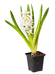 Similar image 212904