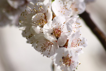 Similar image 212905