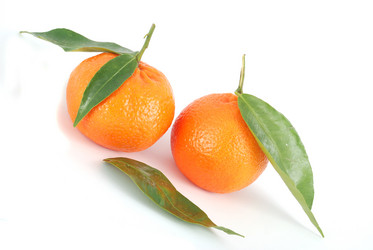 Similar image 212961