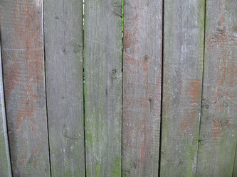 Similar image 212970