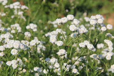 Similar image 212979