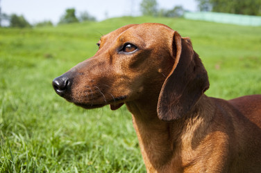 Similar image 212984