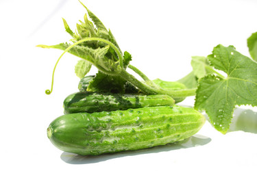 Similar image 212990