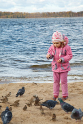 Similar image 212991