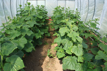 Similar image 212996